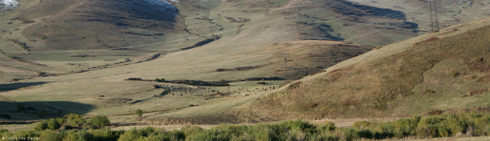 Odile Haumonté – Ecrivain