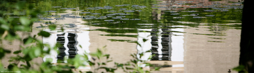 Odile Haumonté – Ecrivain